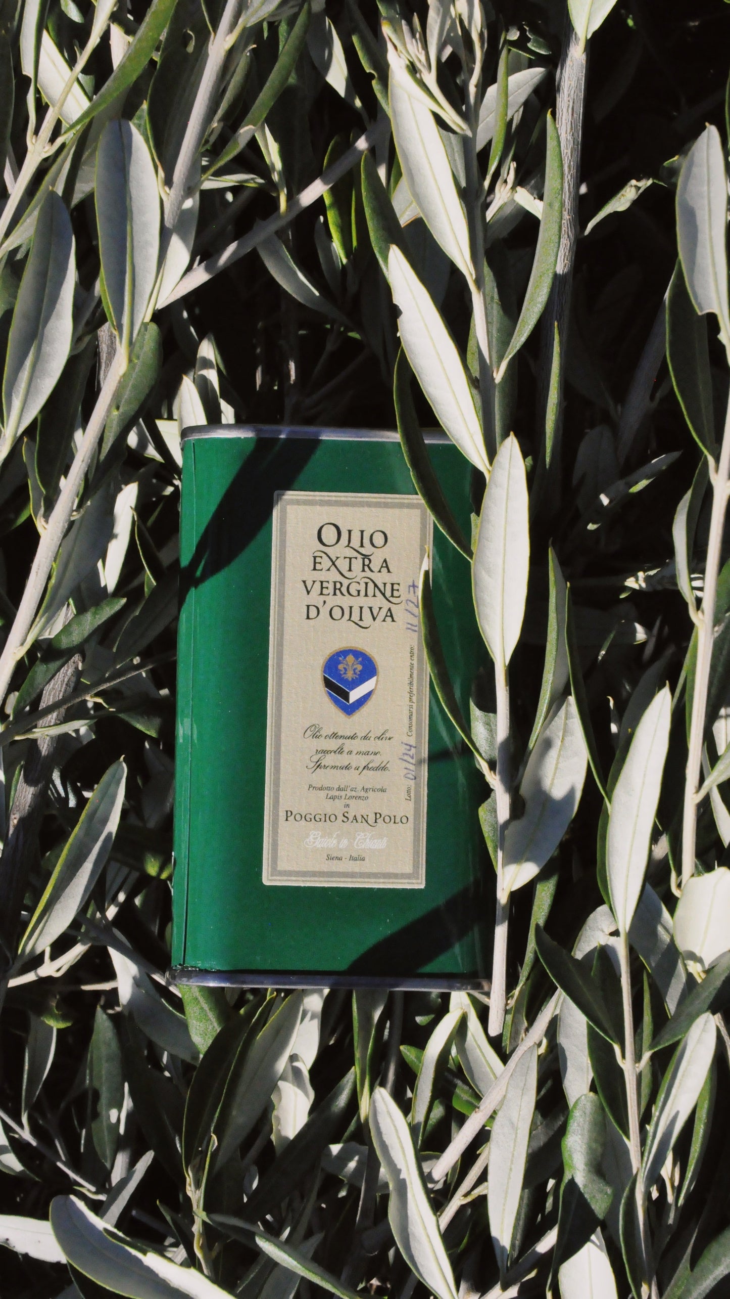 Lorenzo's Extra-Virgin Olive Oil - Premium Steel Container