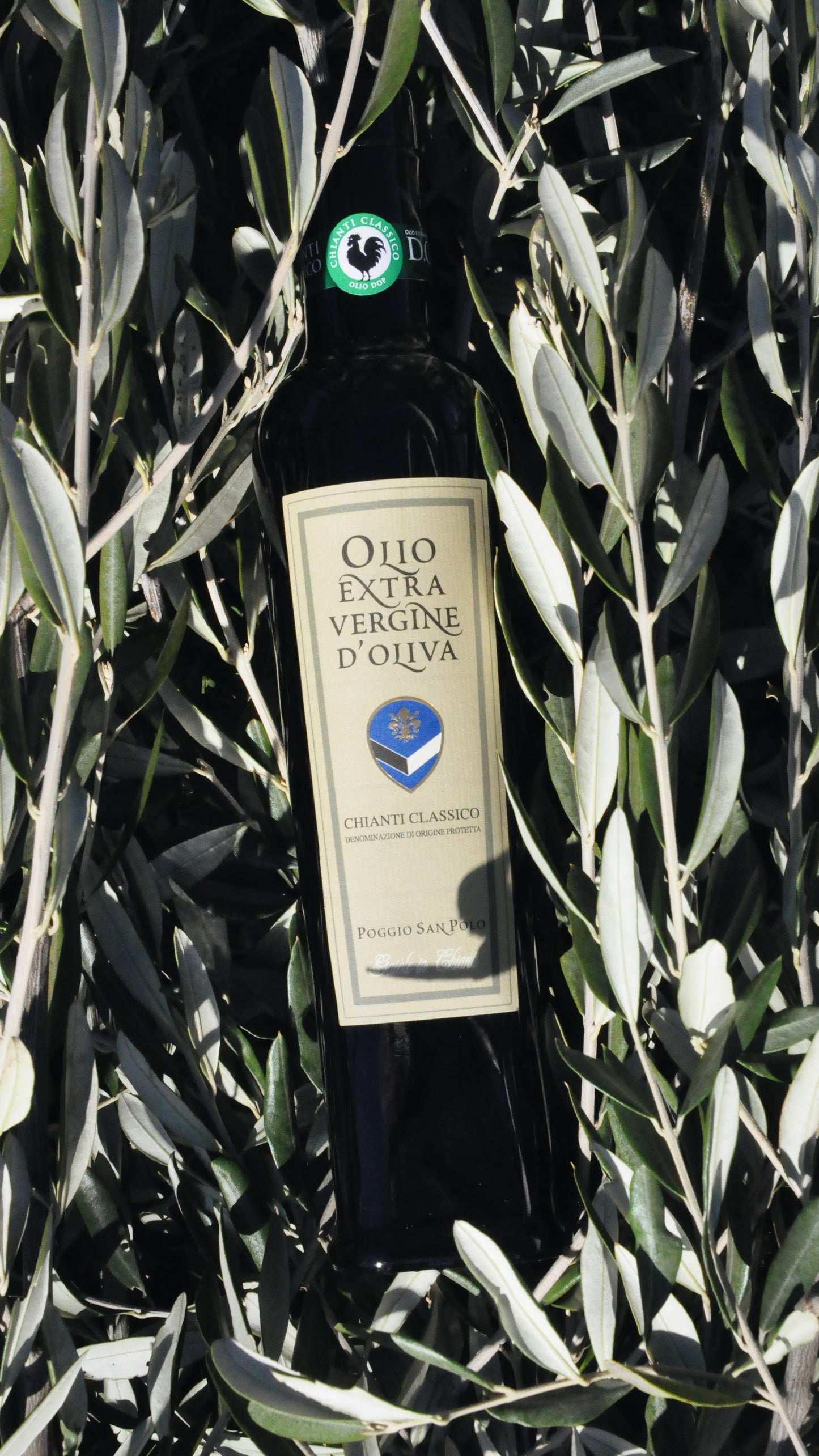 Lorenzo's Chianti Classico DOP Extra-Virgin Olive Oil