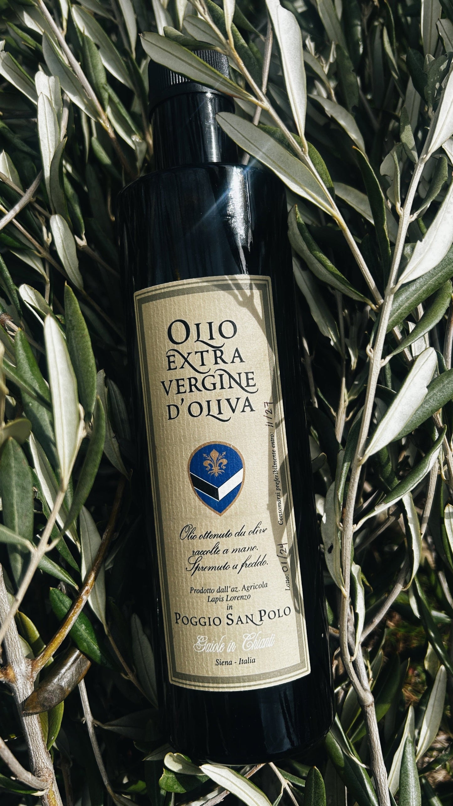 Lorenzo's Extra-Virgin Olive Oil - Glass Bottle